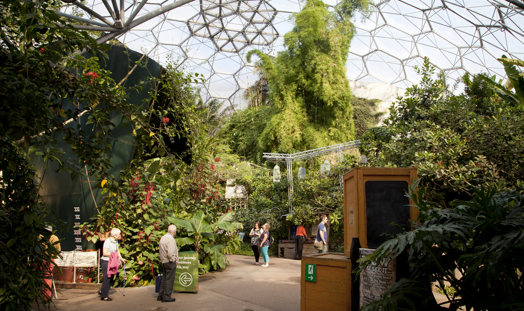 Eden Project, cornwall, things to do cornwall